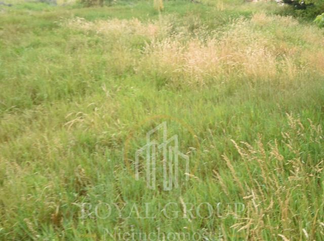 Działka Ostrówek. Zdjęcie 7