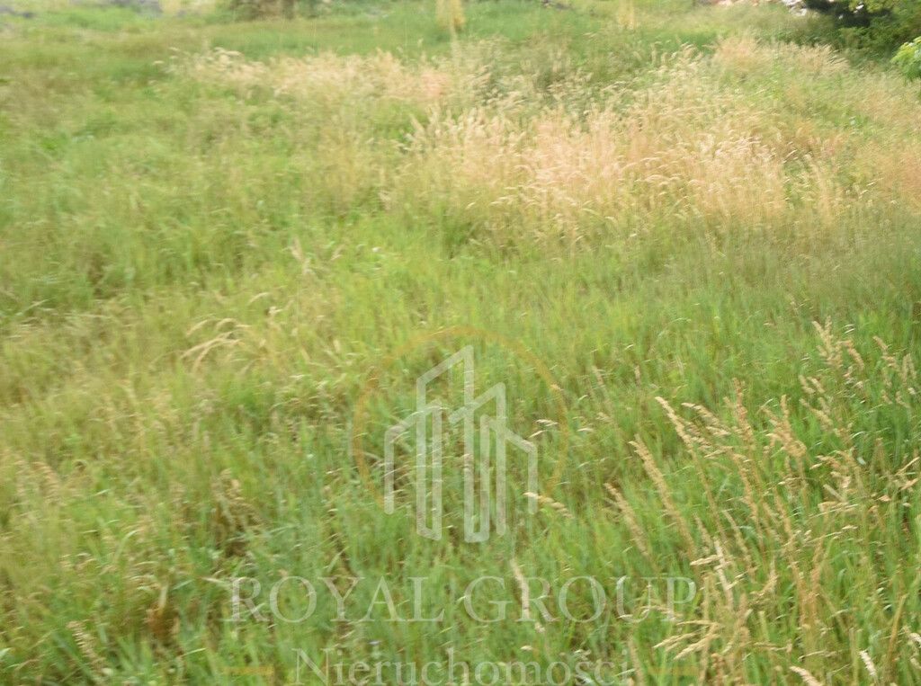 Działka Ostrówek. Zdjęcie 7