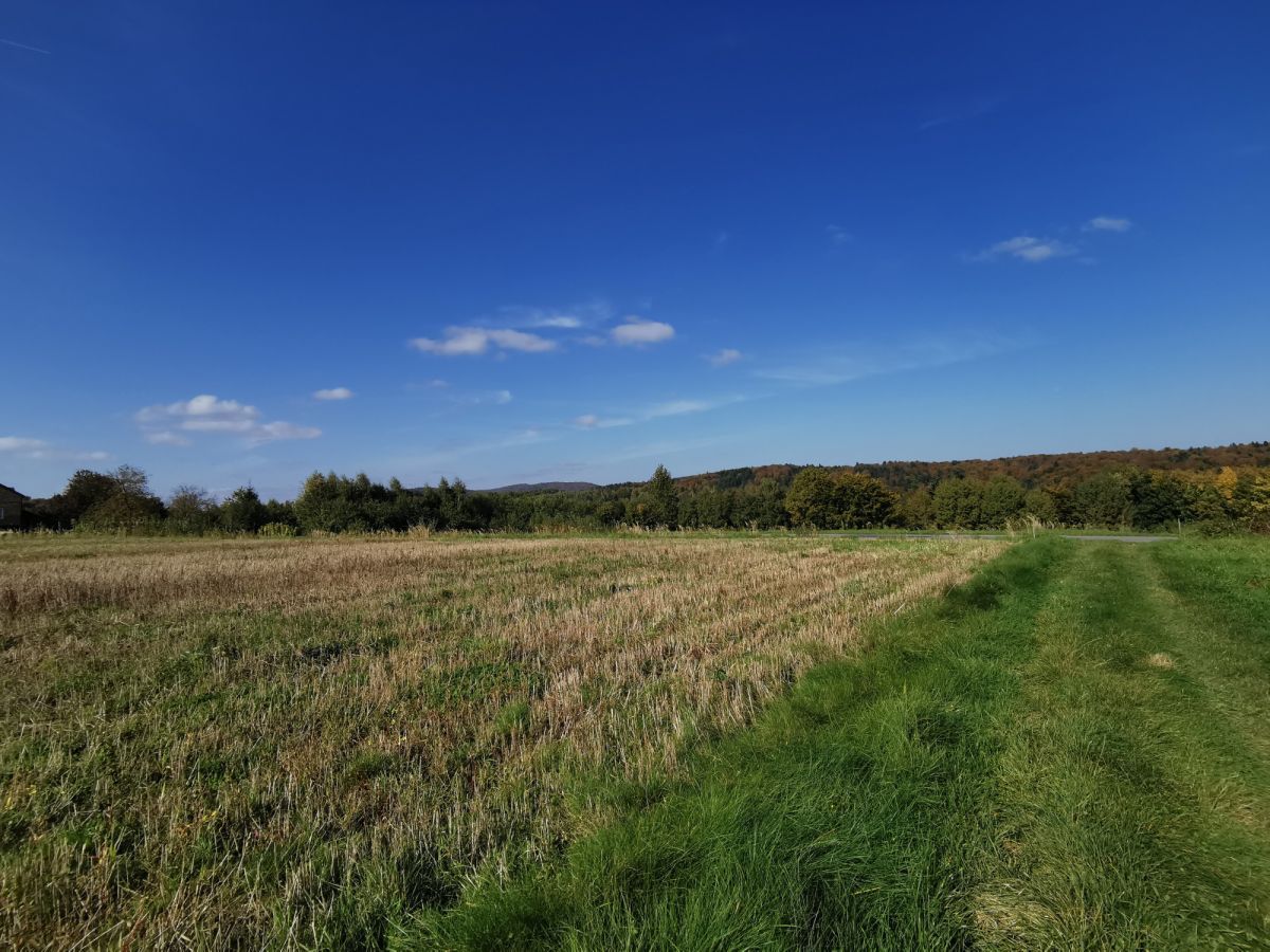 Działka budowlana Glinik Średni. Zdjęcie 8