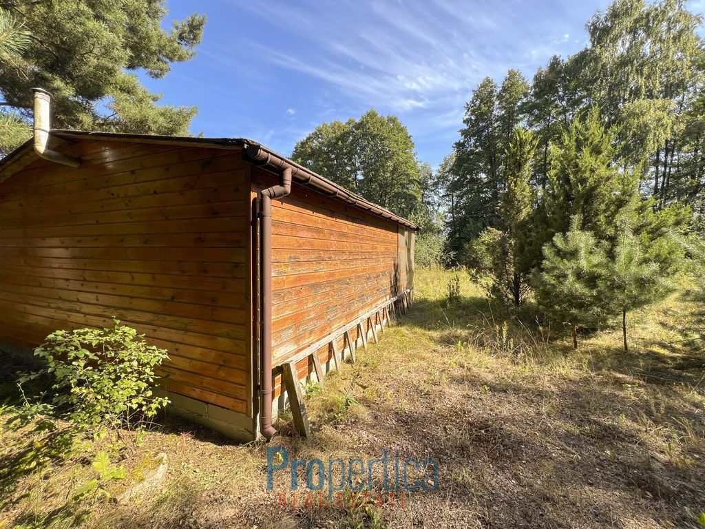 Działka budowlana Zwola Poduchowna. Zdjęcie 5