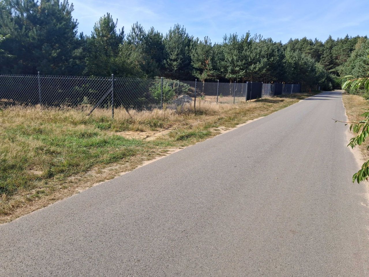 Działka Zuzinów. Zdjęcie 4