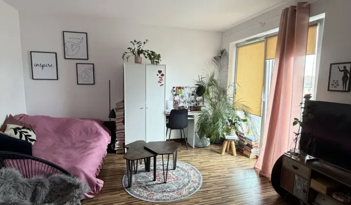 Mieszkanie 1-pokojowe Poznań Wilda