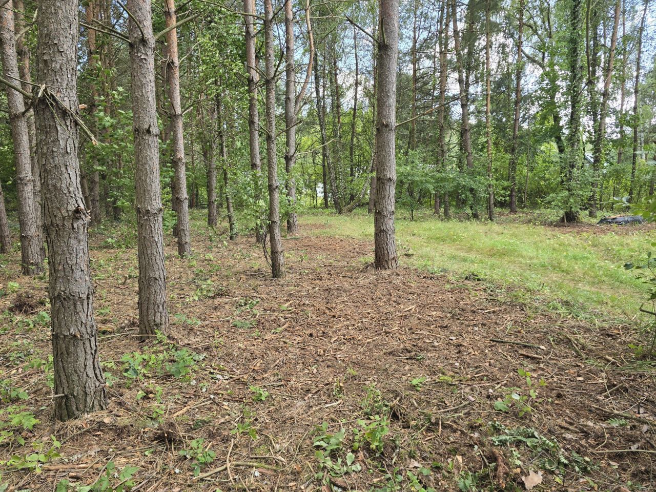 Działka budowlana Adamów-Wieś, ul. Olszowa. Zdjęcie 6