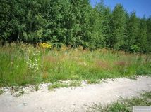 Działka budowlana Brańszczyk. Zdjęcie 4