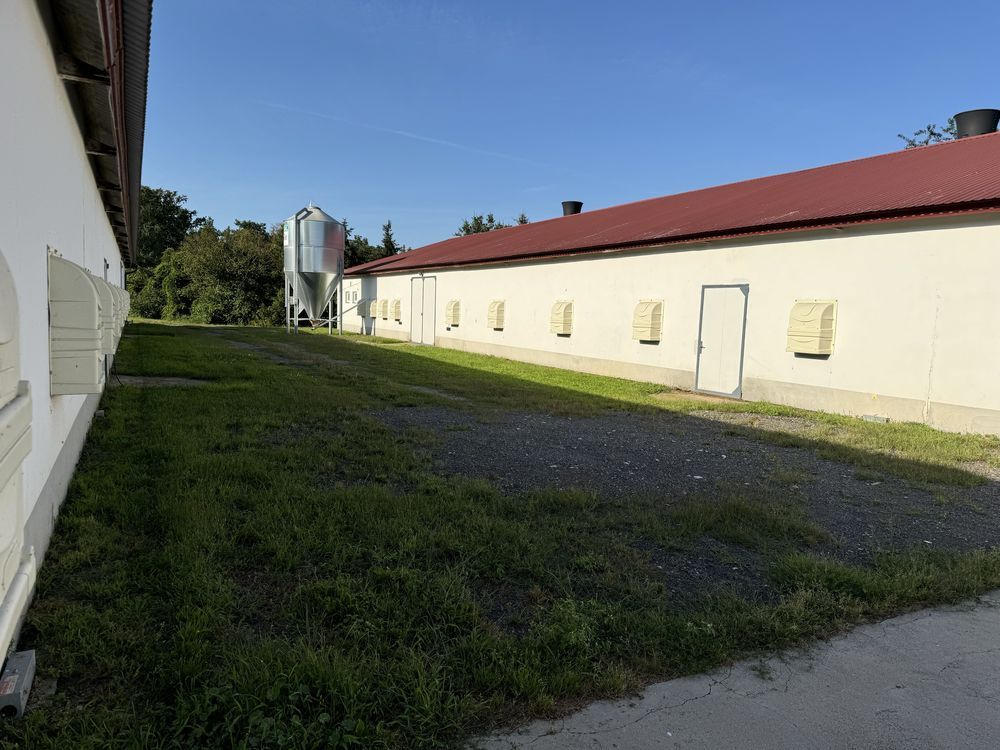 Hala/magazyn Reptowo. Zdjęcie 6