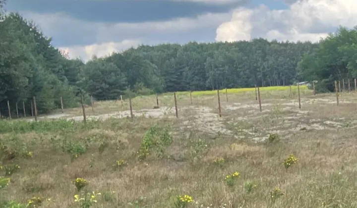 Działka budowlana Ożarowice, ul. Tadeusza Kościuszki