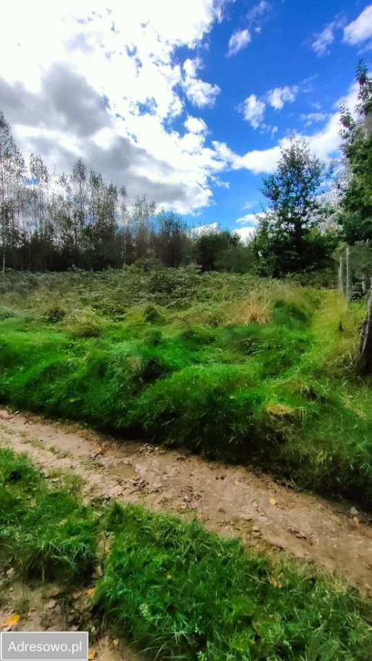 Działka rolno-budowlana Wola Radziszowska. Zdjęcie 8