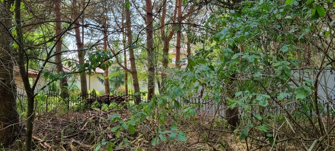 Działka budowlana Strzeniówka. Zdjęcie 5