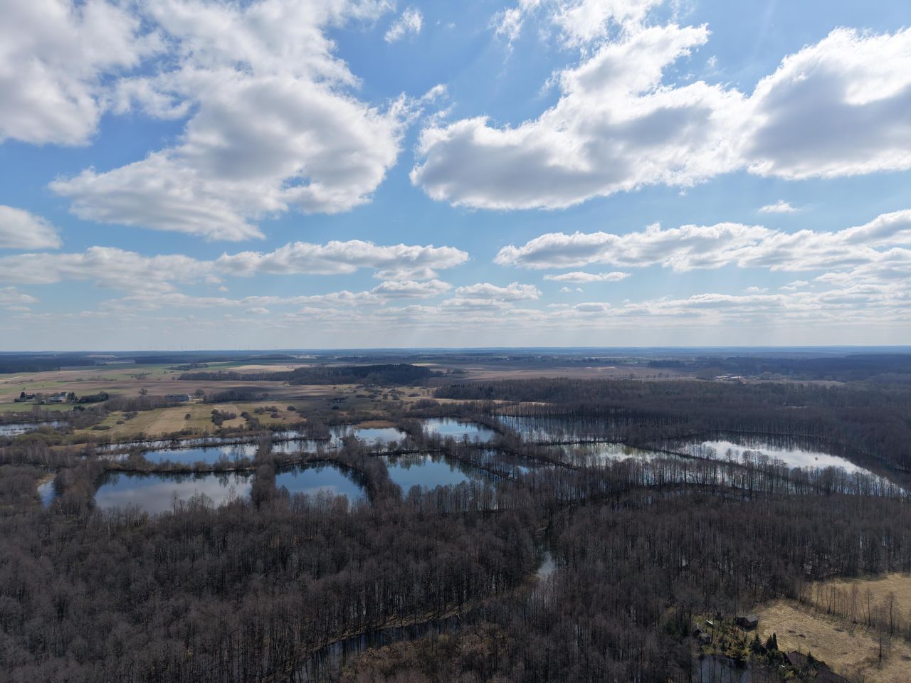Działka budowlana Rybno, ul. Kolonia. Zdjęcie 5