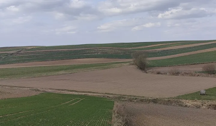 Działka rolna Drohiczany