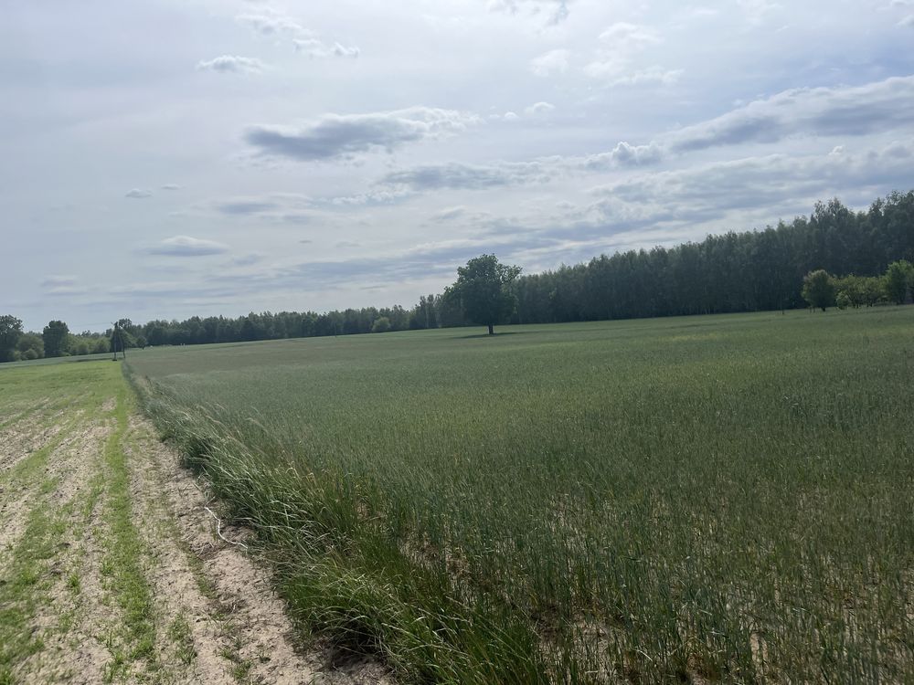 Działka budowlana Mieczysławka. Zdjęcie 4