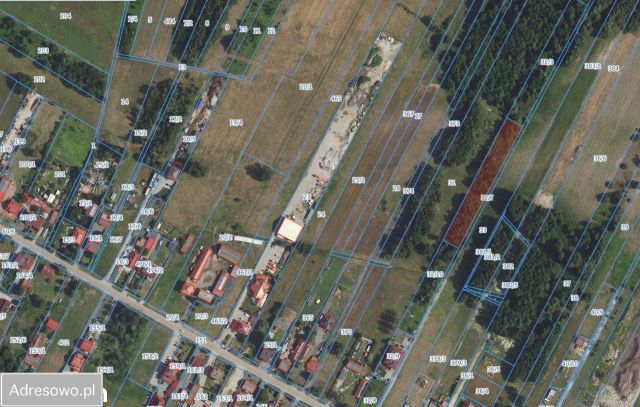 Działka rolna Nowe Grabie. Zdjęcie 1