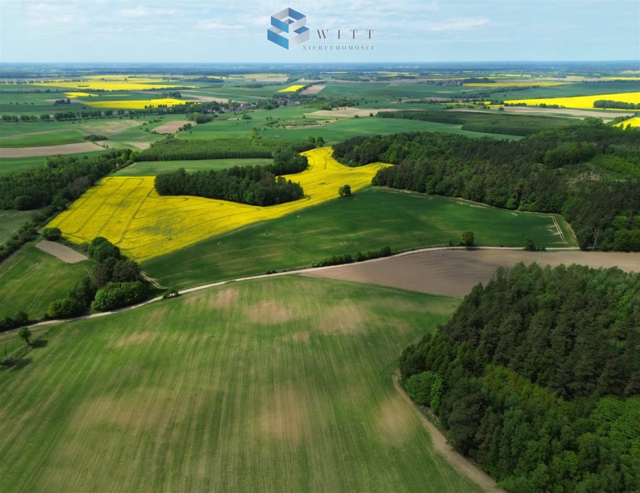 Działka rolna Rudno. Zdjęcie 3