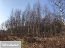 Działka budowlana Olsztyn Osiedle Generałów, ul. Majora Jana Piwnika. Zdjęcie 4