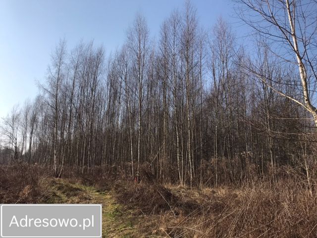 Działka budowlana Olsztyn Osiedle Generałów, ul. Majora Jana Piwnika. Zdjęcie 5