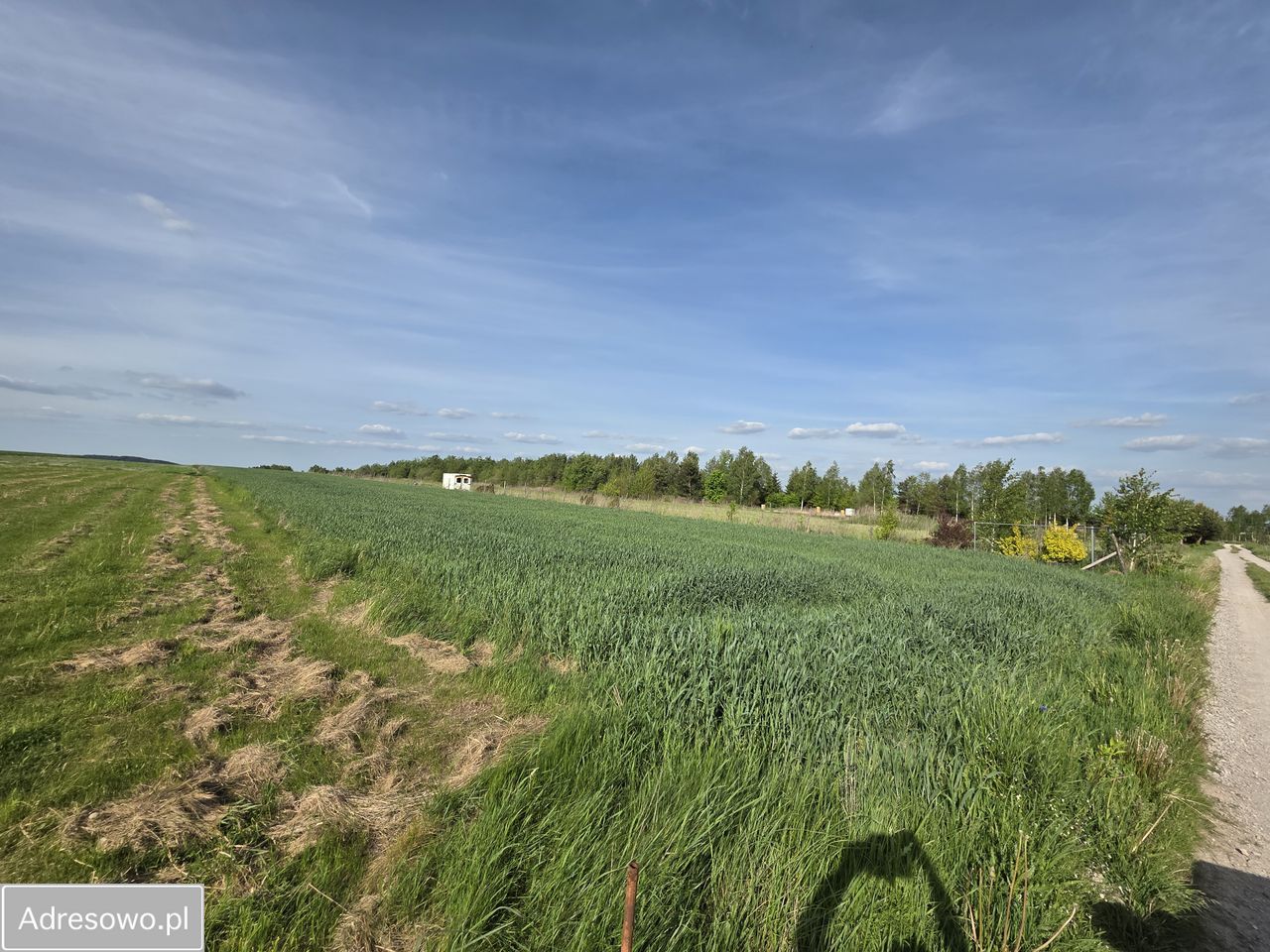 Działka budowlana Micigózd, ul. Kolonia. Zdjęcie 7