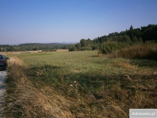 Działka rolno-budowlana Starkówek. Zdjęcie 2