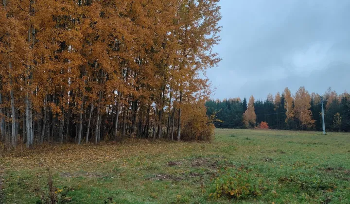 Działka budowlana Bolesławek, ul. Nad Potokiem