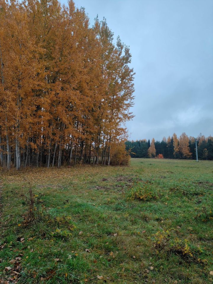 Działka budowlana Bolesławek, ul. Nad Potokiem