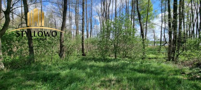 Działka budowlana Kronowo. Zdjęcie 8