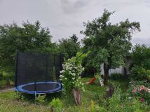 Działka rod Wrocław Śródmieście, ul. Bolesława Prusa. Zdjęcie 1