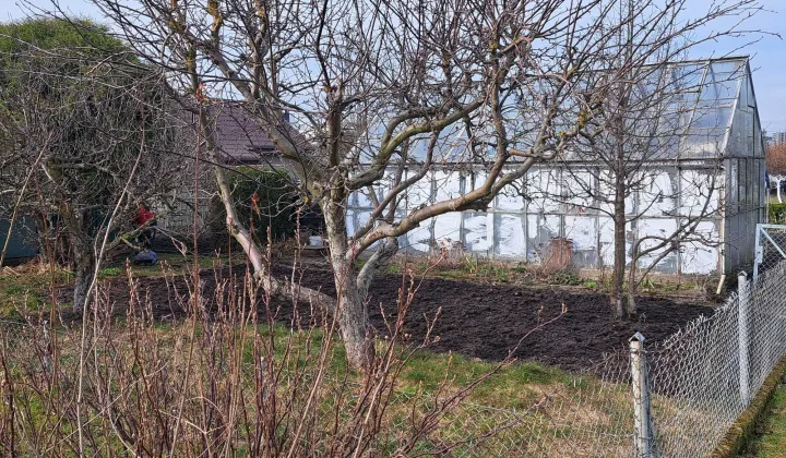 Działka rod Rumia, ul. Kosynierów