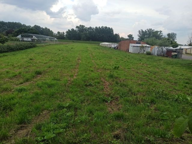 Działka rolno-budowlana Mściów. Zdjęcie 1