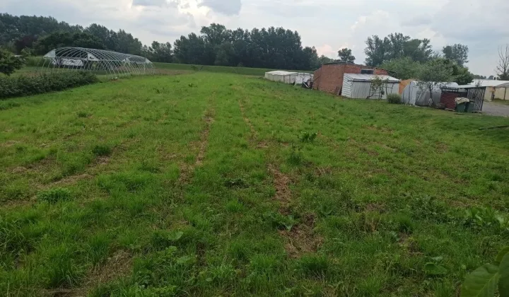 Działka rolno-budowlana Mściów