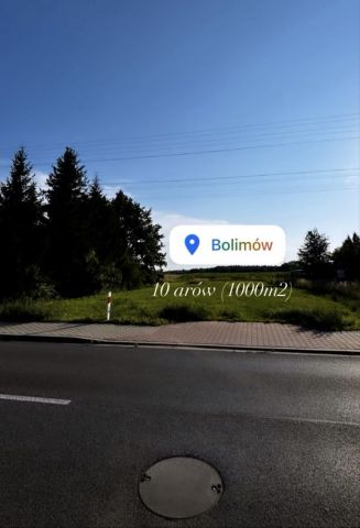Działka budowlana Bolimów. Zdjęcie 1