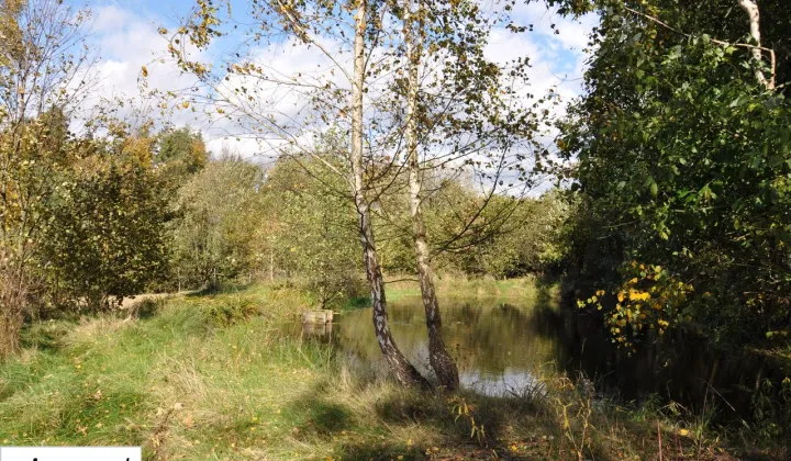 Działka rolno-budowlana Gruszków