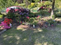 Działka rod Łódź Bałuty, ul. Sianokosy. Zdjęcie 3