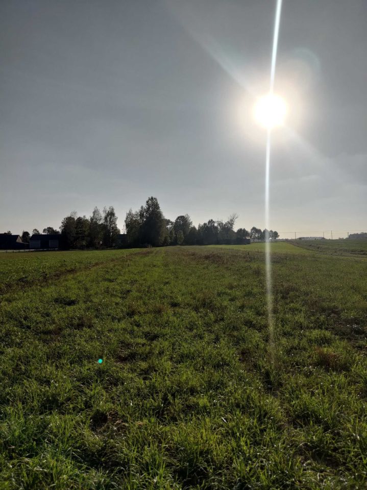 Działka siedliskowa Wólka Miedzyńska. Zdjęcie 7