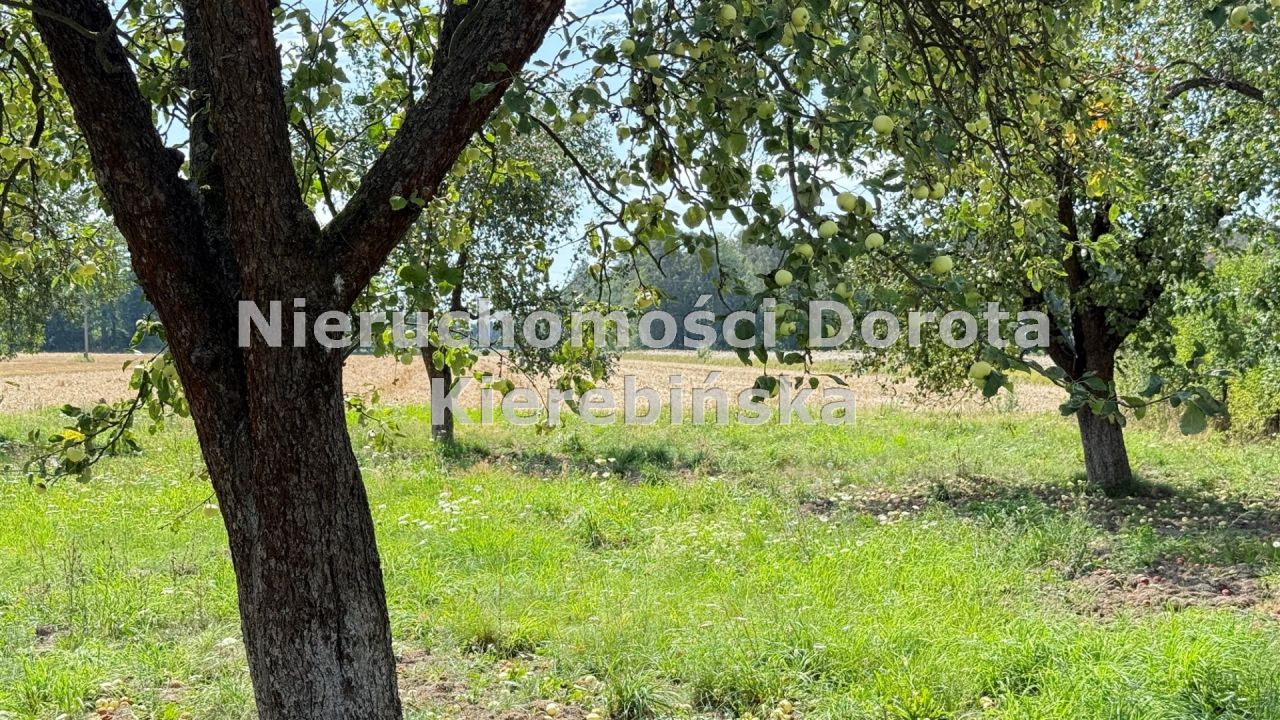 Działka rolna Tomaszów Mazowiecki Nagórzyce, ul. Ludowa. Zdjęcie 6