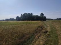 Działka rolna Chosna. Zdjęcie 1