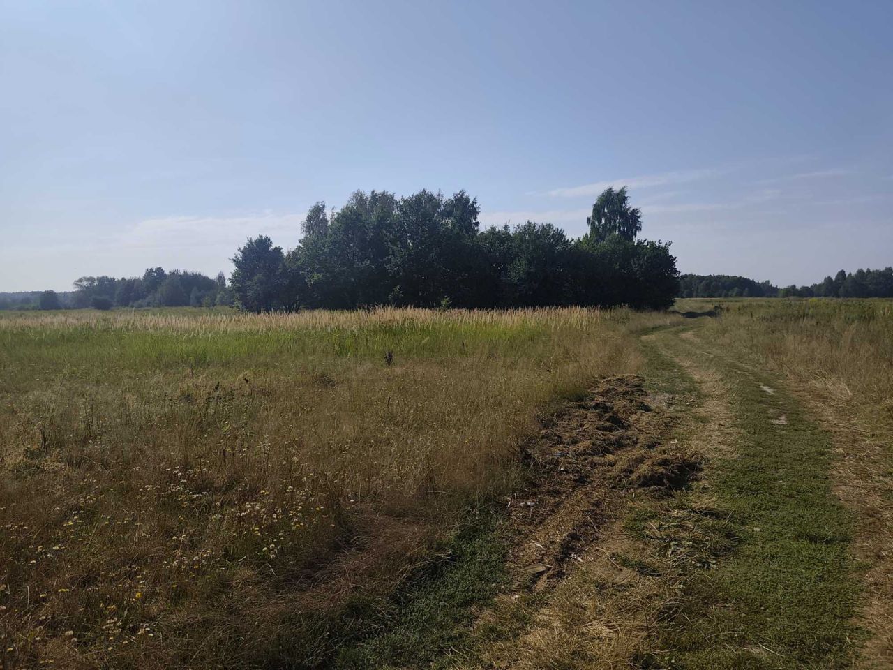 Działka rolna Chosna. Zdjęcie 2