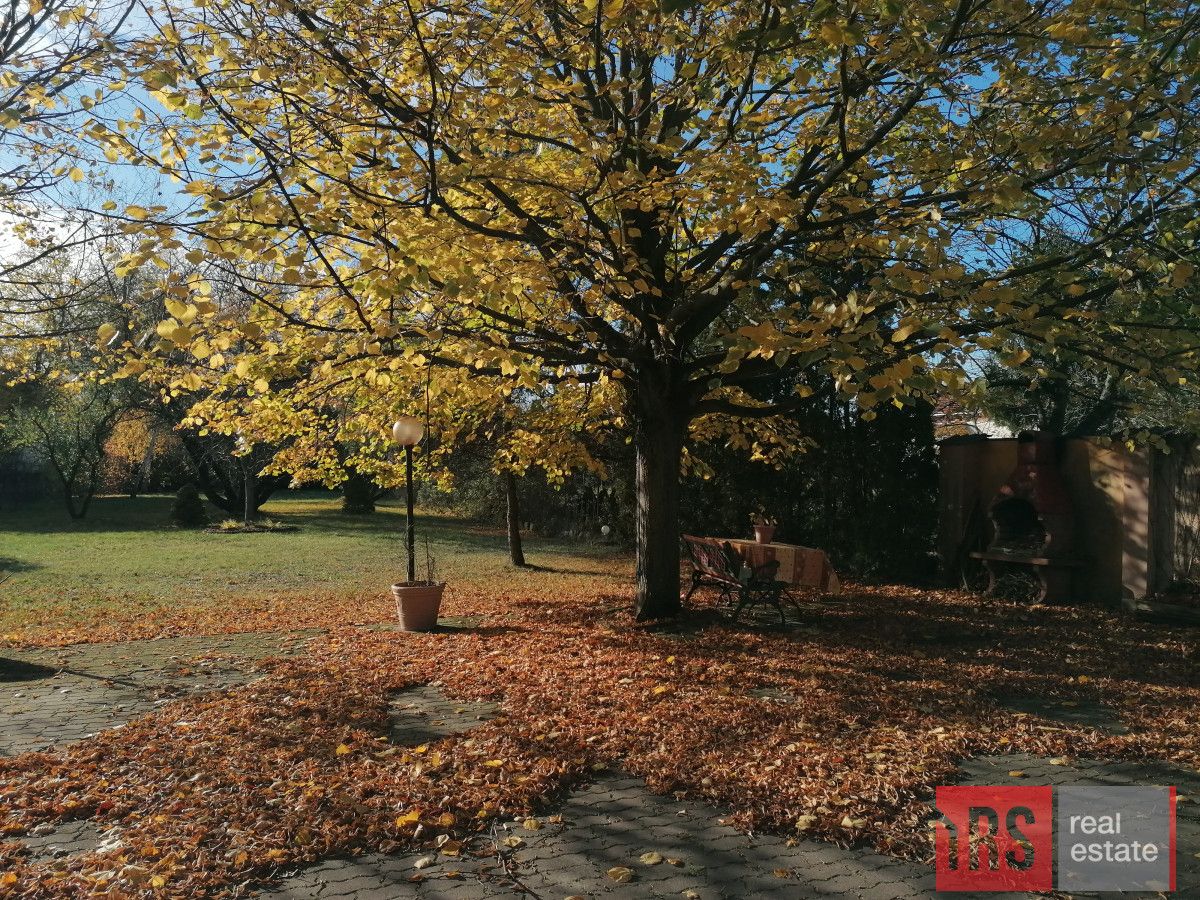 Lokal Warszawa Wawer, ul. Trakt Lubelski. Zdjęcie 9