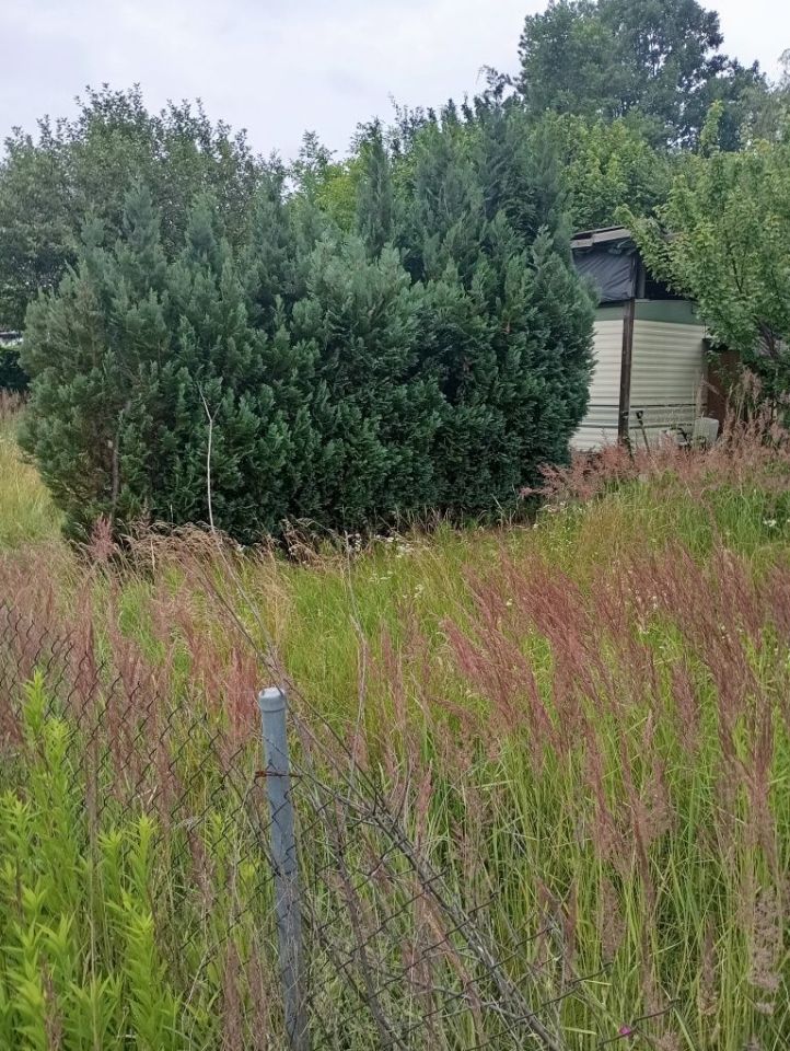 Działka rod Jaworowa. Zdjęcie 3