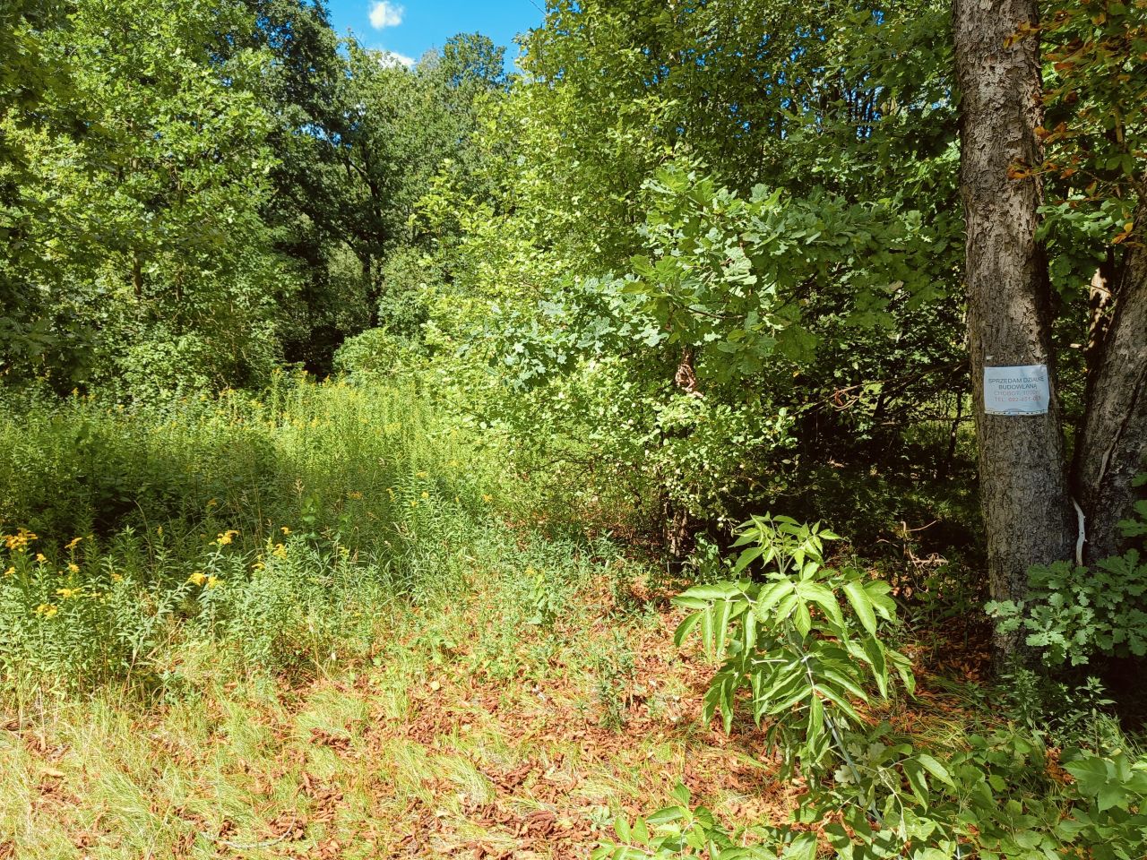 Działka budowlana Chobot. Zdjęcie 4