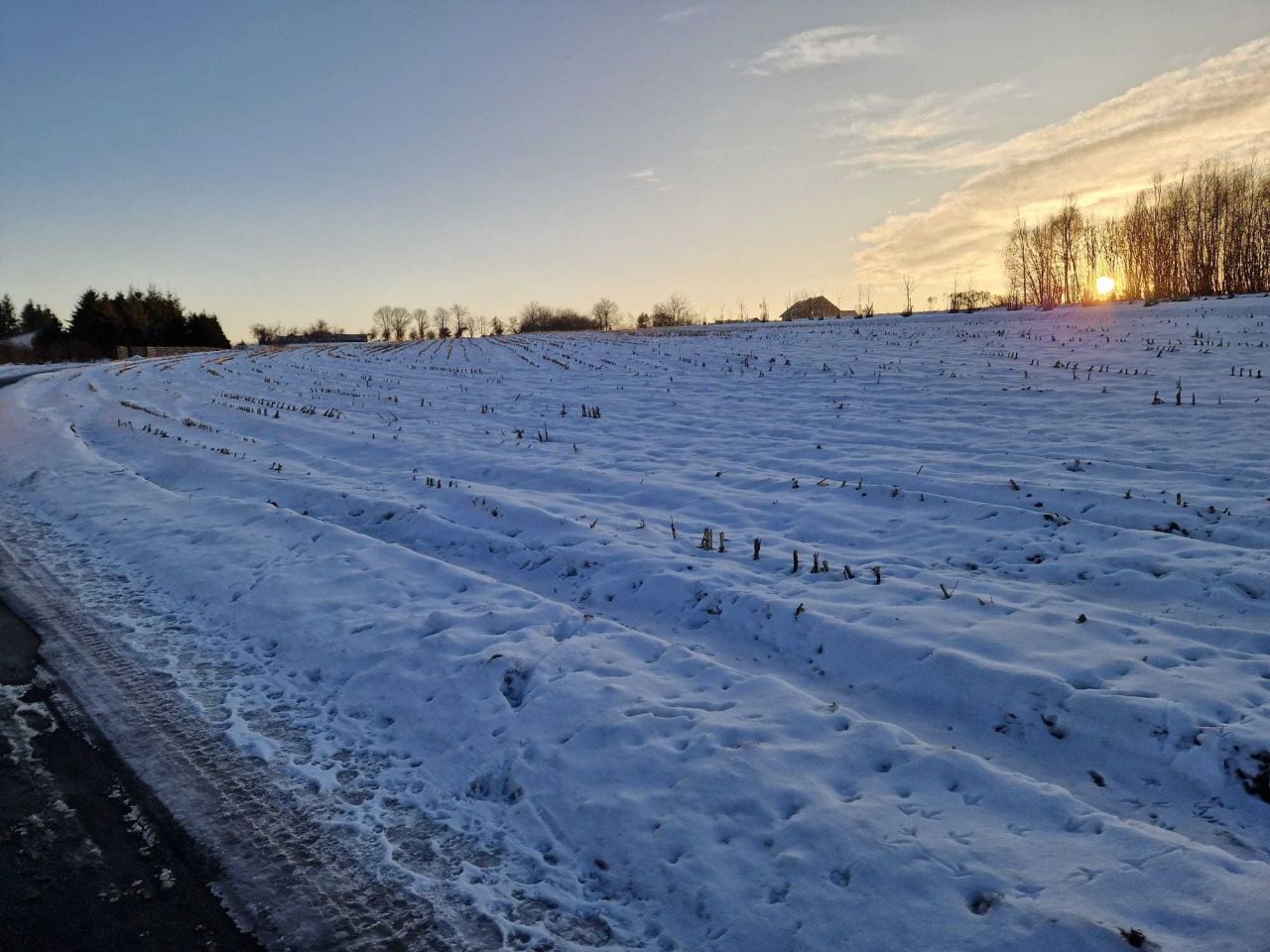 Działka rolno-budowlana Górna Wieś, ul. Królewska. Zdjęcie 8