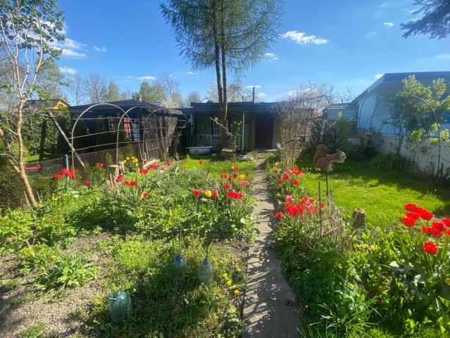 Działka rod Knurów. Zdjęcie 1