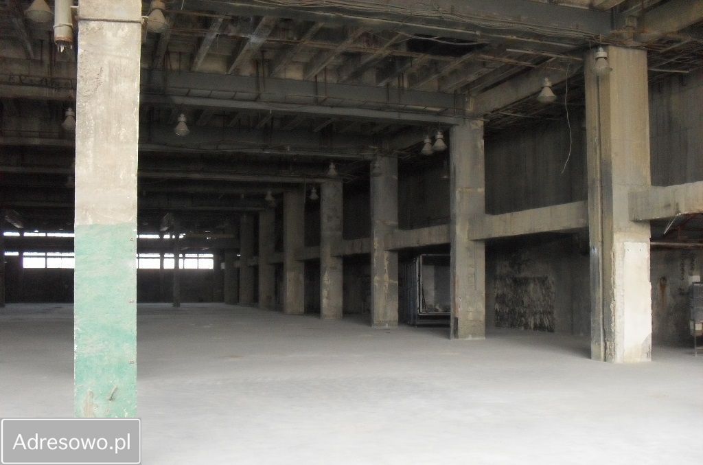 Hala/magazyn Trzebinia. Zdjęcie 3