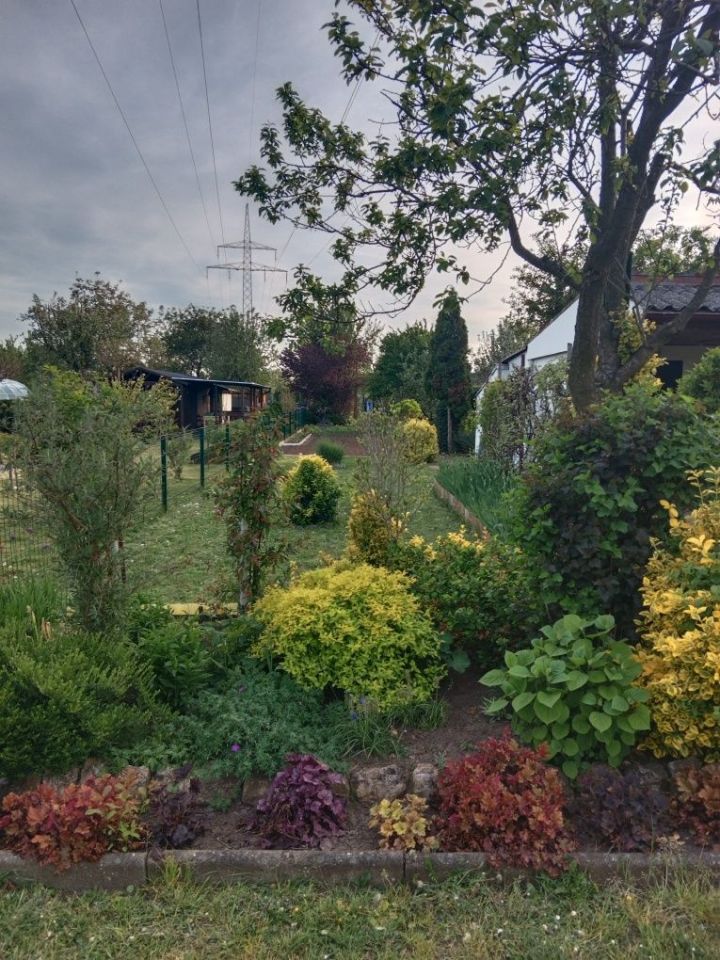 Działka rod Kędzierzyn-Koźle Kuźniczka. Zdjęcie 3