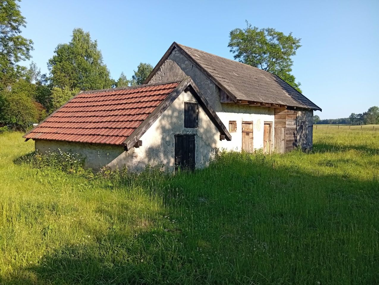Działka siedliskowa Strzelce. Zdjęcie 3