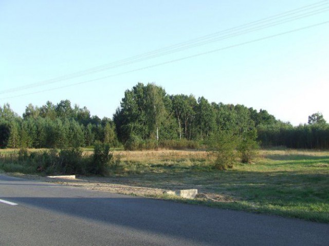 Działka rolno-budowlana Kobyłczyce. Zdjęcie 1
