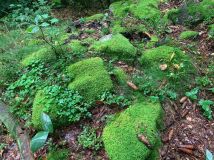 Działka inwestycyjna Karpacz, ul. Górna. Zdjęcie 4