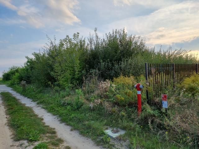 Działka budowlana Zaborówek. Zdjęcie 2