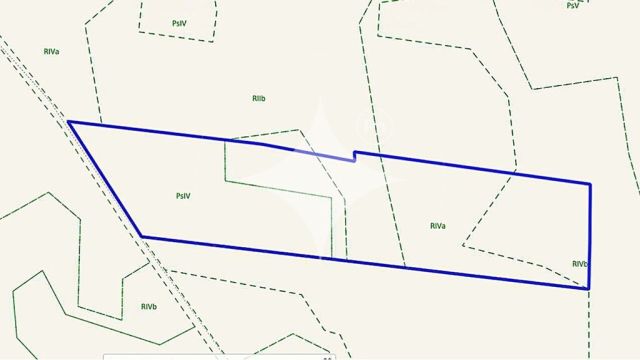 Działka rolna Piecki. Zdjęcie 3