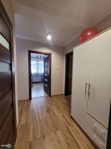 dom wolnostojący, 3 pokoje Daleszyce. Zdjęcie 8