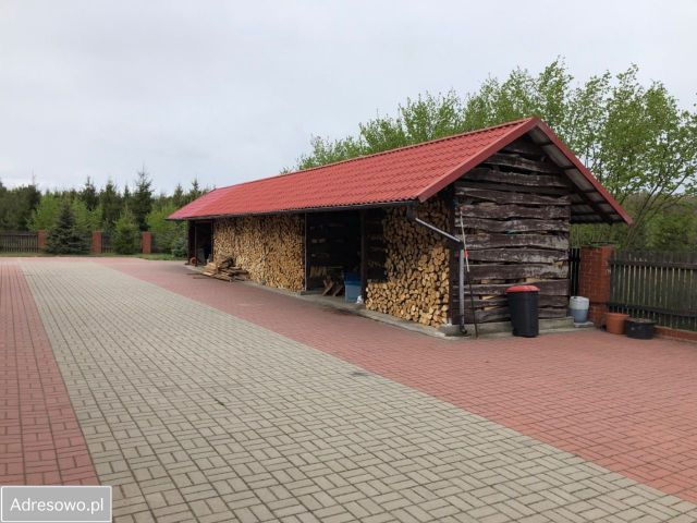 siedlisko Najdymowo. Zdjęcie 10