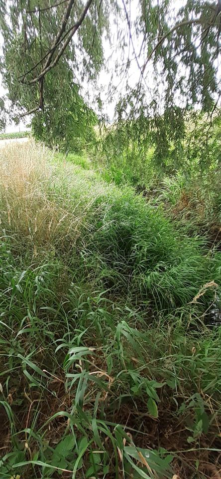 Działka rolno-budowlana Lututów Młynek, ul. Wrocławska. Zdjęcie 7